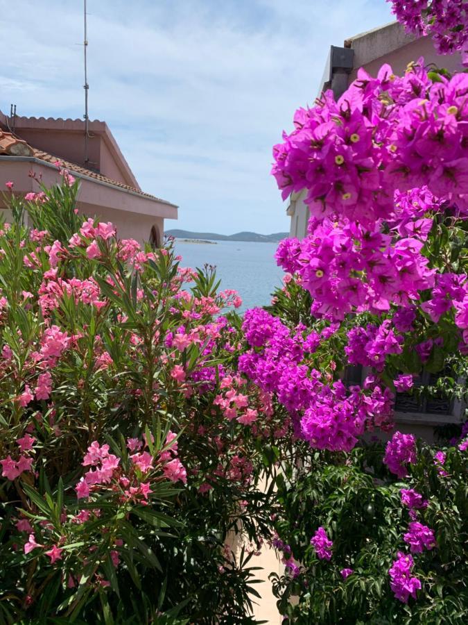 Apartment Marine Drage Εξωτερικό φωτογραφία