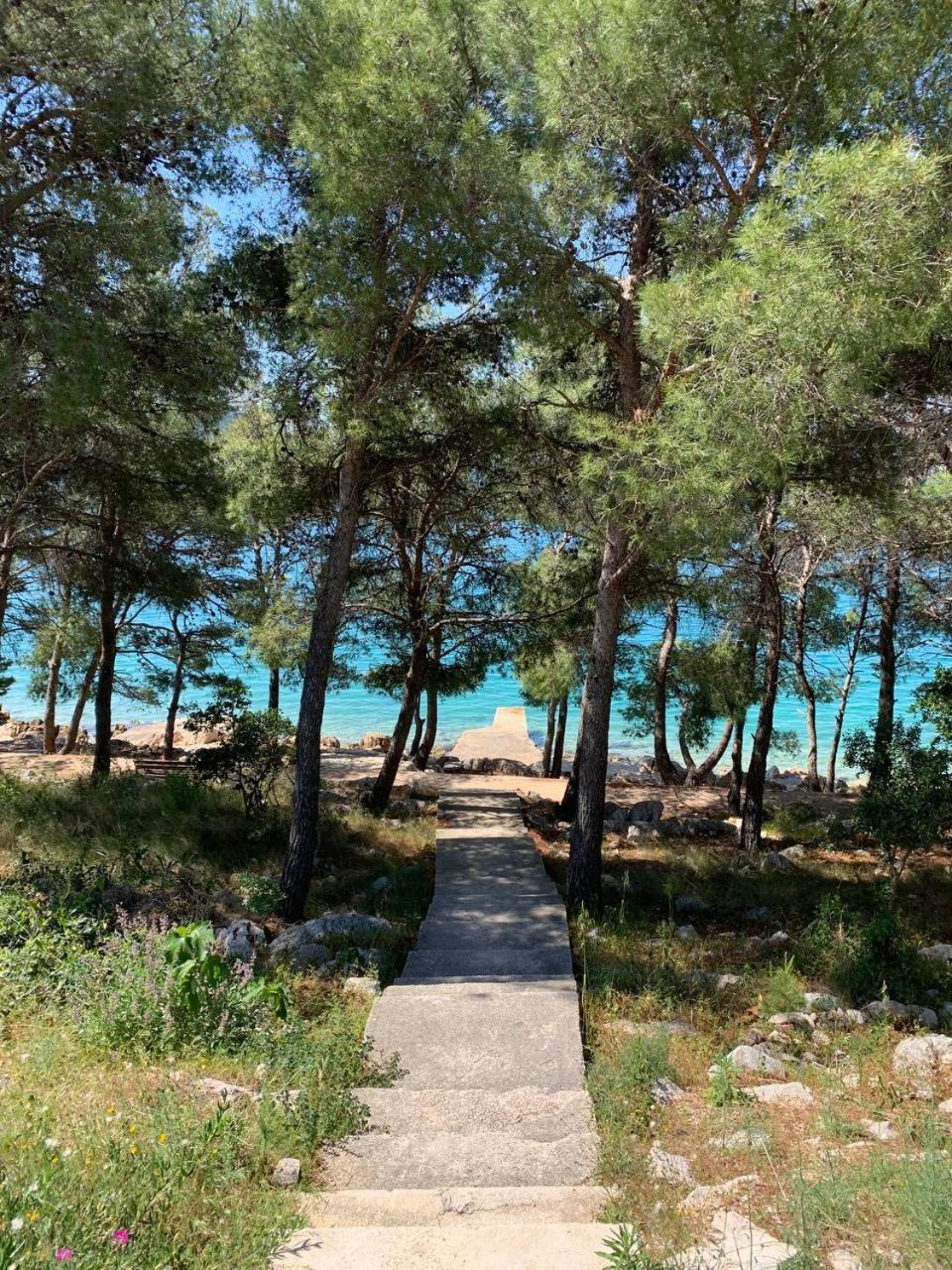 Apartment Marine Drage Εξωτερικό φωτογραφία