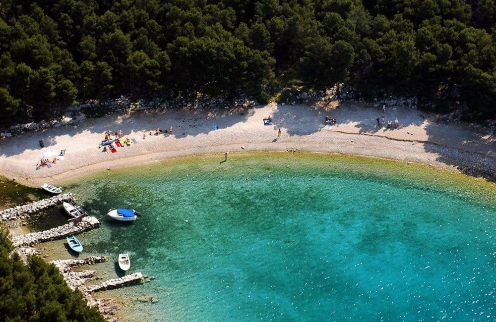 Apartment Marine Drage Εξωτερικό φωτογραφία