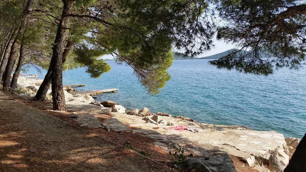 Apartment Marine Drage Εξωτερικό φωτογραφία