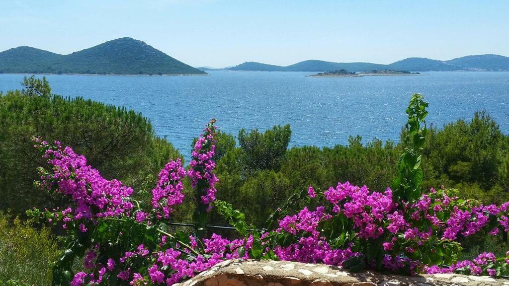 Apartment Marine Drage Εξωτερικό φωτογραφία